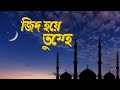 Zid hay tumhe  audio graphical song  aahistaa  ashraf fani  echo bengali modern song