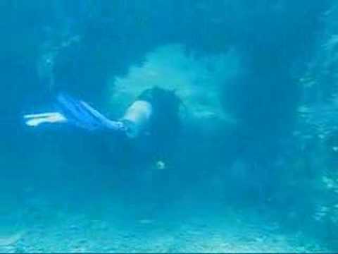 Scuba Diving Similan Islands