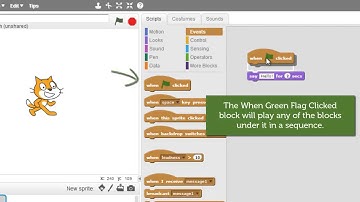 Scratch - How do I play my game?
