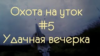 охота на уток #5 Вечерка удалась!!!(охота на уток #5 Вечерка удалась!!! Ноябрьская охота на уток. Ставки уже замерзли, но утки все еще летят. В..., 2016-11-23T18:49:30.000Z)