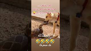 ? tiktok maroc نزار سبيتي الياس المالكي nizar sbaiti ilyas el malki روتيني اليومي