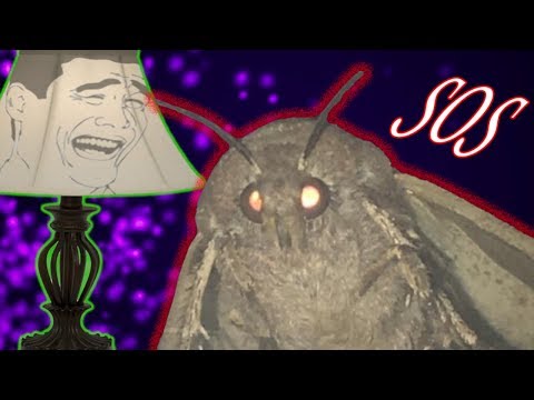 lamp-kills-moth-over-a-joke-|-lamp-moth-meme