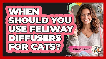 When Should You Use Feliway Diffusers For Cats? - Happy Cat Handbook