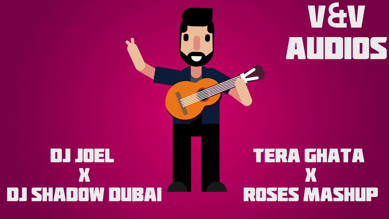 Tera Ghata X Roses Mashup | DJ Joel X DJ Shadow Dubai | V&V Audios