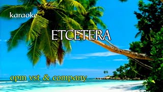 ETCETERA   VST & COMPANY