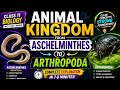 Aschelminthes to Arthropoda