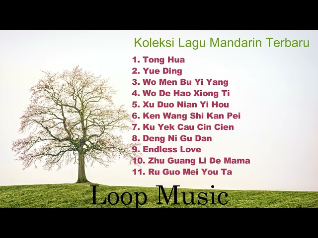 Kumpulan Lagu Mandarin Terbaru part. 1 class=