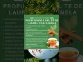 Propriedades Del Té De Laurel Con Canela #shorts