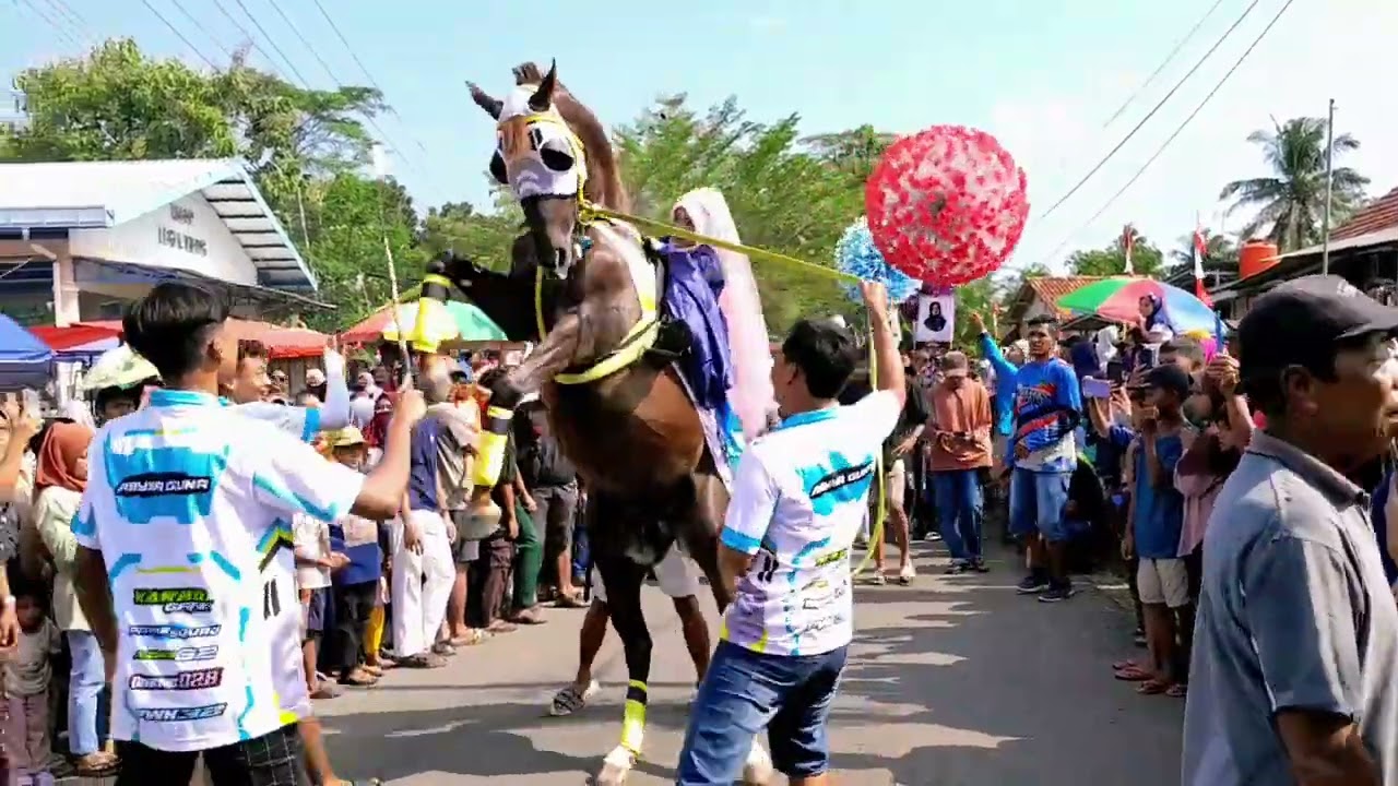 Arak Arakan Kudaa Jingkrak Purworejo Desa Pogungrejo