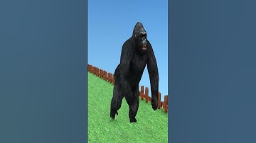 Thumbnail of Gorilla Funny Cartoon Video