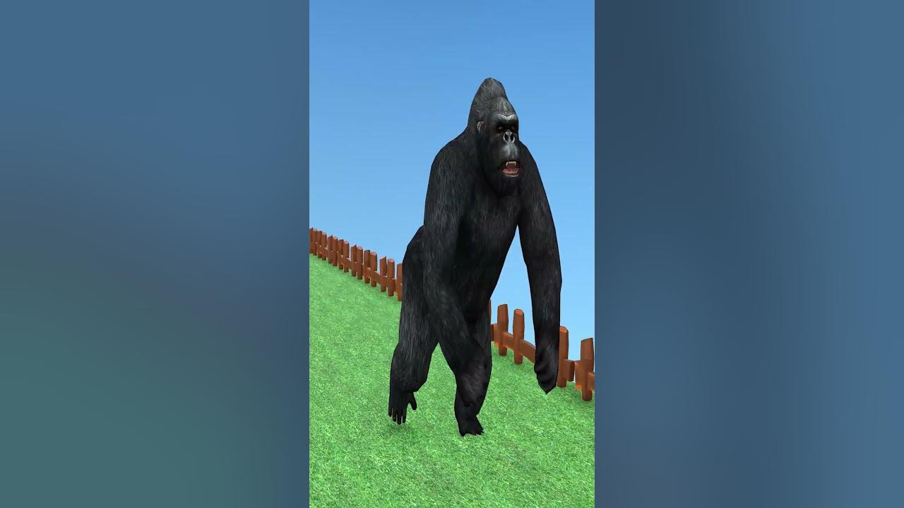 Gorilla Funny Cartoon Video Gorilla Funny Cartoon Video
