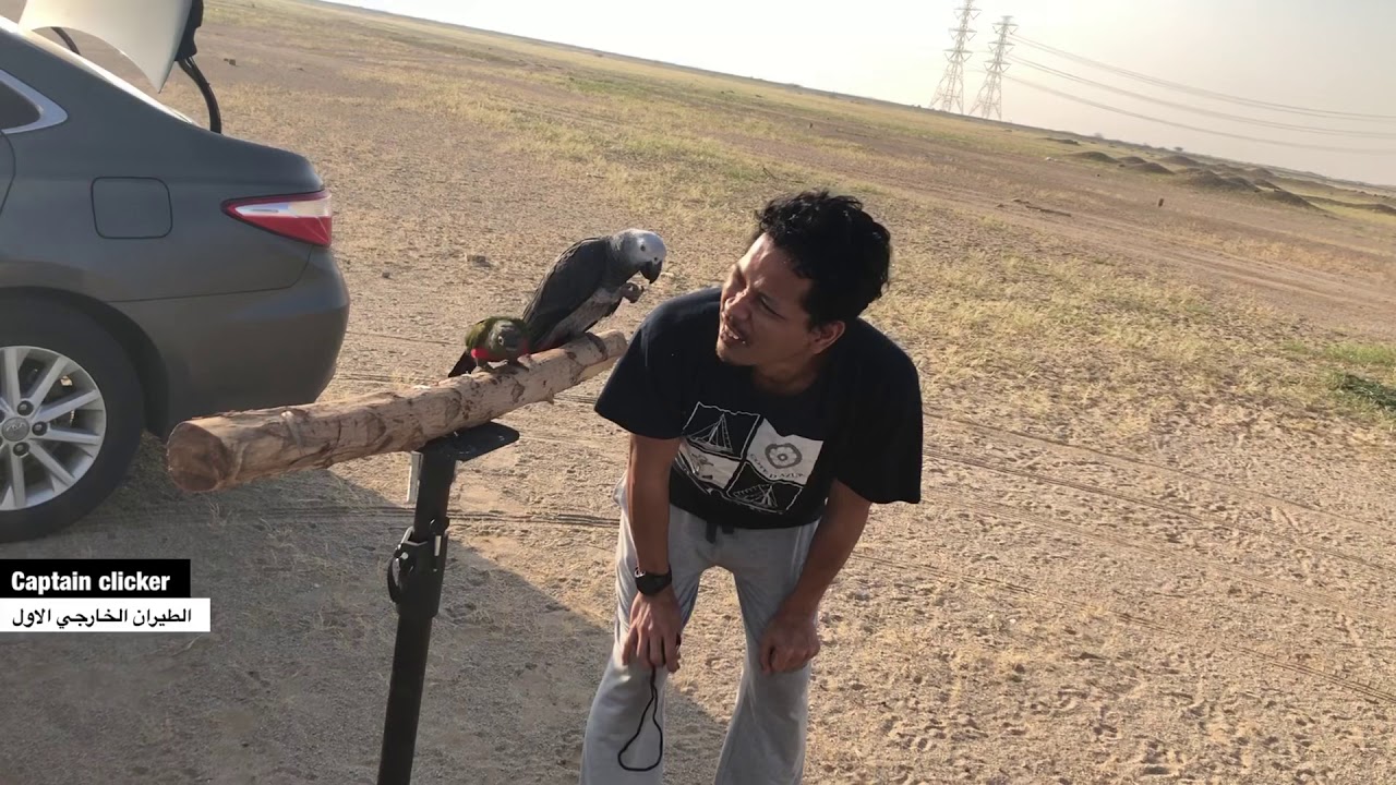 الكاسكو سنسن والطيران الخارجي الاول