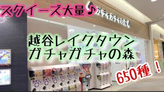 越谷レイクタウンでガチャガチャ大量に回してきた スクイーズ多め ガチャガチャの森 Youtube 越谷レイクタウンでガチャガチャ大量に回してきた スクイーズ多め ガチャガチャの森 Youtube