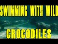 SWIMMING WITH CROCODILES!!!