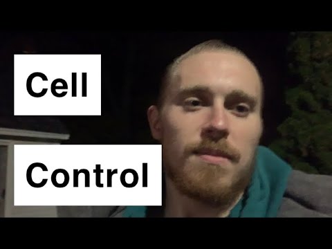 Why The Lion Diet Rehabs Mitochondria 