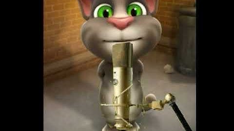 Thumbnail of Talking tom song dieu nhay cua cac chu meo. dance song video.