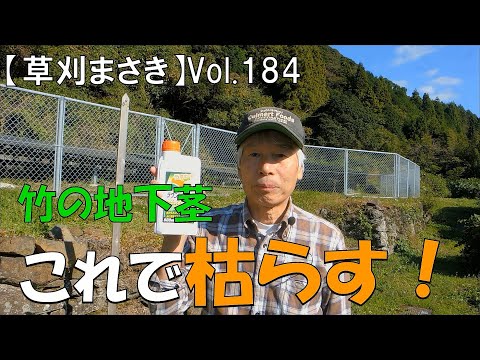 原野化への抗い】竹の地下茎、これで枯らす！ - YouTube