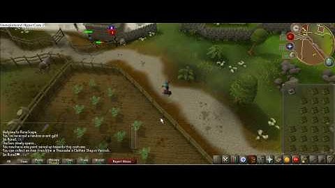 frog princeses random event