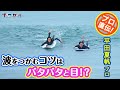 プロ直伝！波をつかむコツはバタバタして、目線を？これで解決！！「サーフ☆ガール」