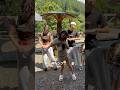 【tiktok】人気のダンス踊ってみた！#shorts