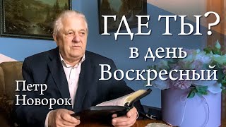 Где ты? В день Воскресный. Петр Новорок