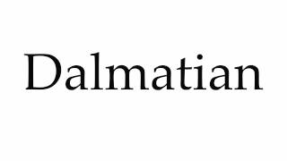 How to Pronounce Dalmatian