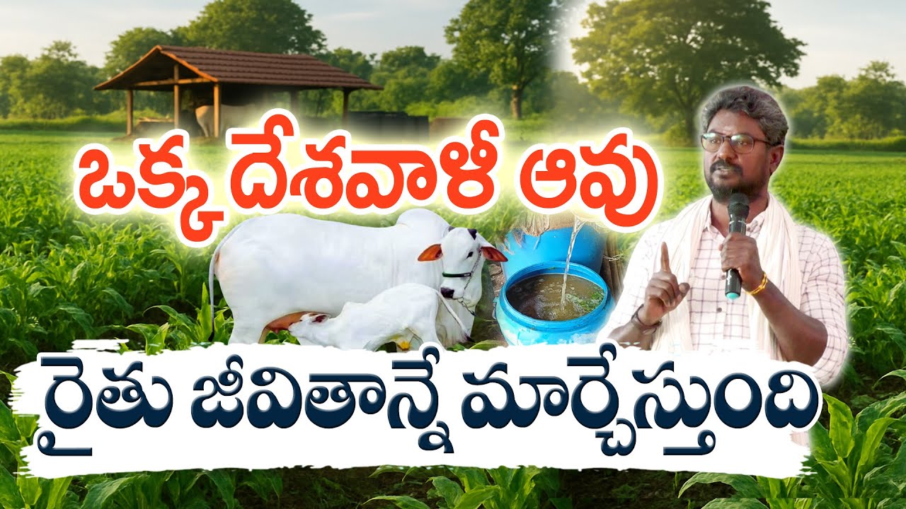 Эти уроки очень ценны для каждого фермера | Чандул Кумар Редди