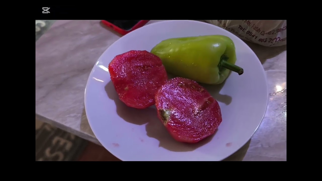 ERCAN GEZİYOR, ANKARA TİFLİS,KARADENİZ,GÜRCİSTAN,BATUM TİFLİS