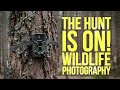 WILDLIFE PHOTOGRAPHY || Wildlife In The Forest, Pine Marten, Badger, Field Craft