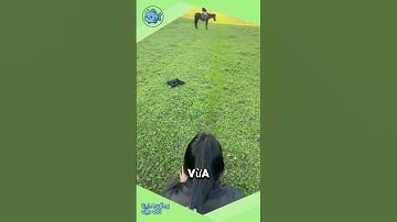 Tôi sẽ lấy con ngựa..#reviewphim #shortvideo #funny #haihuoc #reels #phimhay #video