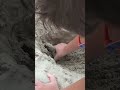 LEO TROVA un DINOSAURO sotto la SABBIA #shorts