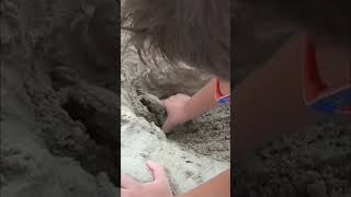 LEO TROVA un DINOSAURO sotto la SABBIA #shorts