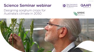 Designing sorghum crops for Australia’s climate in 2050