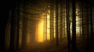 The Path Deep Future Garage Mix 2014 Mix