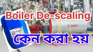 বয়লার কেন ডি স্কেলিং করা হয়। how to boiler descaling