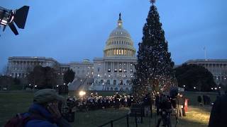 2017 U.S. Capitol Christmas Tree Lighting  Washington, DC