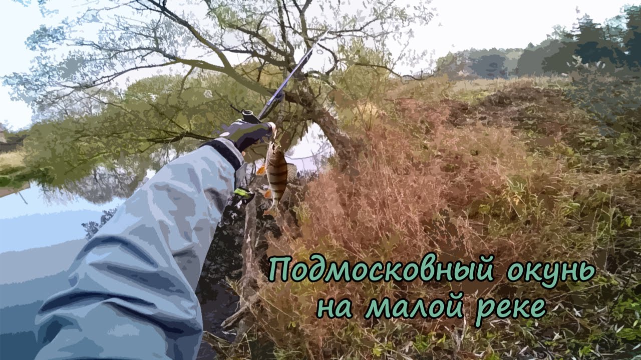 Микроджиг на оке