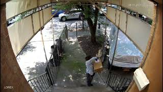 Jamaica Queens NYC USPS Drivers Throws Package Like Garbage👏