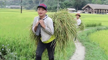 ẢNH ĐẸP XÃ QUẢNG NGUYÊN - XÍN MẦN -HÀ GIANG | QUANG NGUYEN BEAUTY PHOTOS