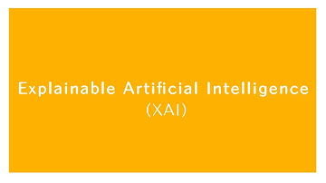 Explainable AI - Sanchi Patel SAS Entry