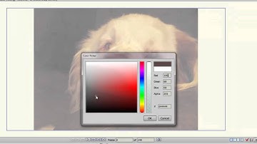 Importing Tracing Images into Anime Studio