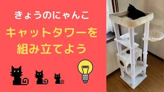 キャットタワーを新調しました！！！組み立てと猫ちゃん達が遊ぶ様子をご覧ください
