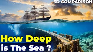 Details Ocean DEPTH Comparison | How Deep Is The Ocean | 3D Comparison Update