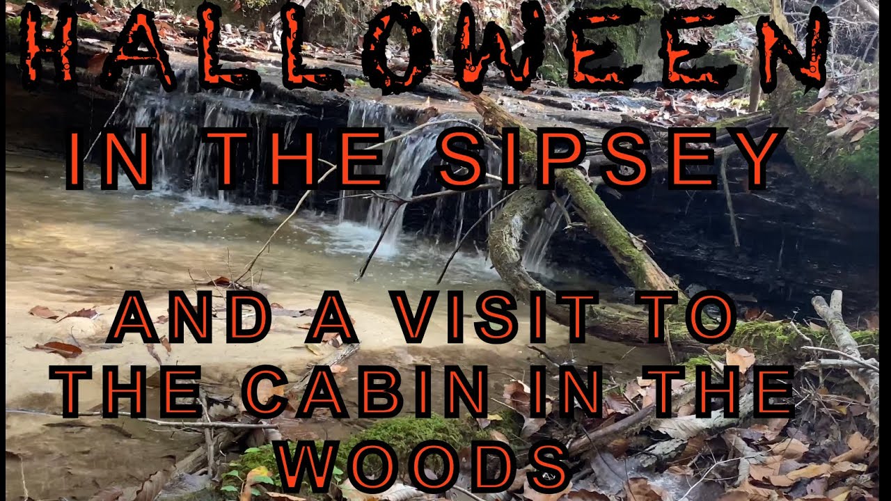 Halloween in the Sipsey Wilderness and a Visit to Rippey Cabin YouTube