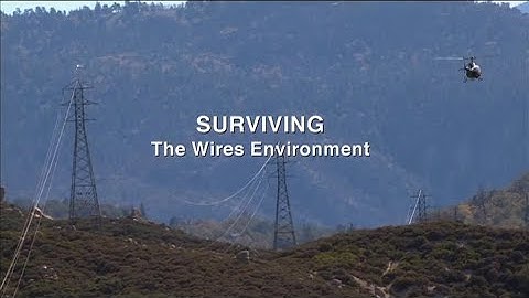 Surviving the Wires Environment