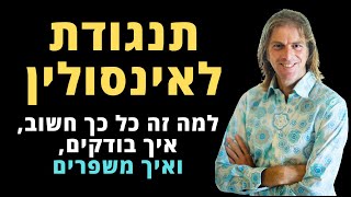 תנגודת לאינסולין: איך בודקים, מה עושים, ולמה זה כל כך חשוב