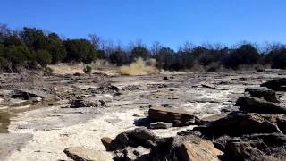 4lbs of Tannerite vs Massive Tree Stump