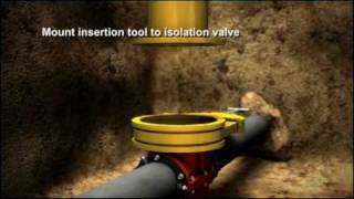 TEAM Insert Valve Animation Wealth