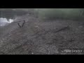First View of flying threw swamp from Ryze Tello Drone
