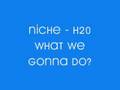 Niche - H20 - What We Gonna Do?/What's It Gonna Be?